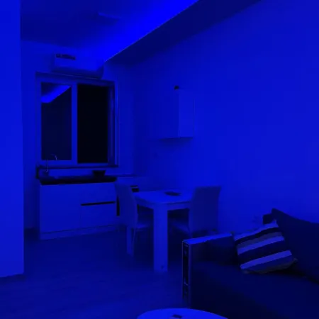 Saska Apartment Nis